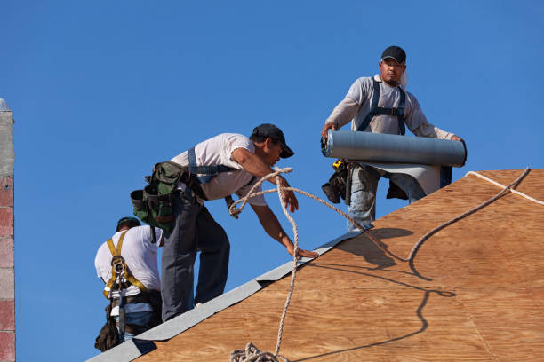 Best Gutter Installation and Roofing  in Sayville, NY